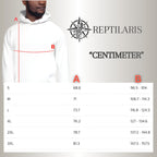 Hoodie Bearded Dragon Desert (Pogona vitticeps)