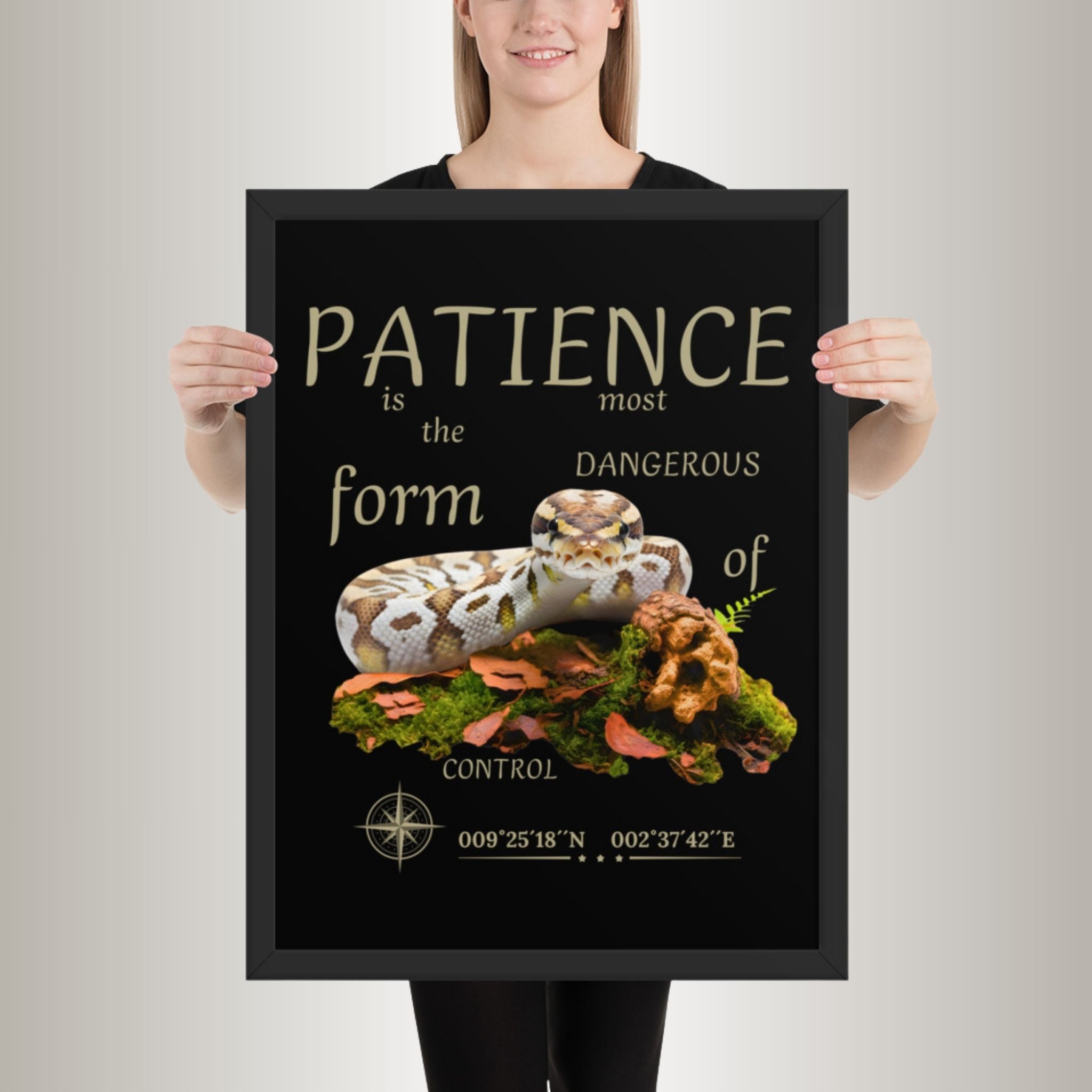 Poster mit Bilderrahmen Königsphyton hell (Python regius)