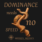 Hoodie Königsphyton braun (Python regius)