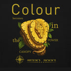 Hoodie Baumpython Gelb (Morelia viridis)