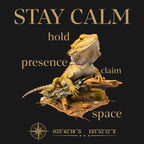 Hoodie Bearded Dragon Desert (Pogona vitticeps)