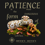 T-Shirt Königsphyton hell (Python regius)