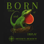 Hoodie Rotkehl-Anolis (Anolis carolinensis)