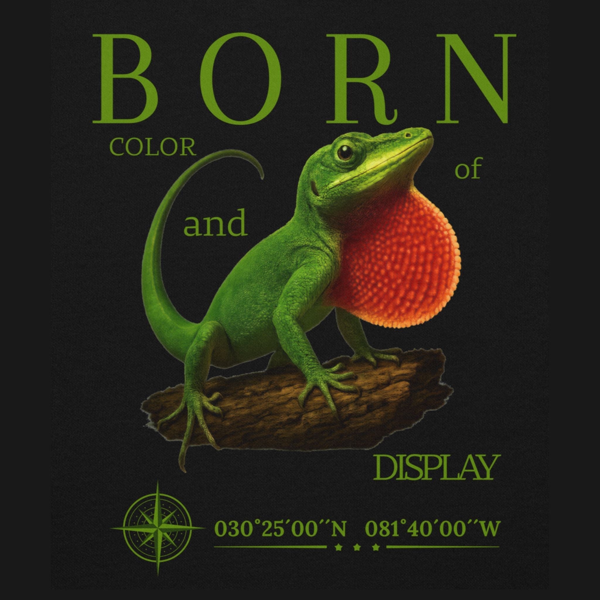 Hoodie Rotkehl-Anolis (Anolis carolinensis)