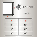 Poster with picture frame of a light-colored Greek tortoise (Testudo hermanni)