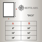 Poster mit Bilderrahmen Bartagame Variante 2 (Pogona vitticeps)