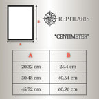 Poster with picture frame of a light-colored Greek tortoise (Testudo hermanni)